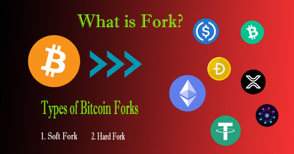 What is Fork? Types of Bitcoin Forks