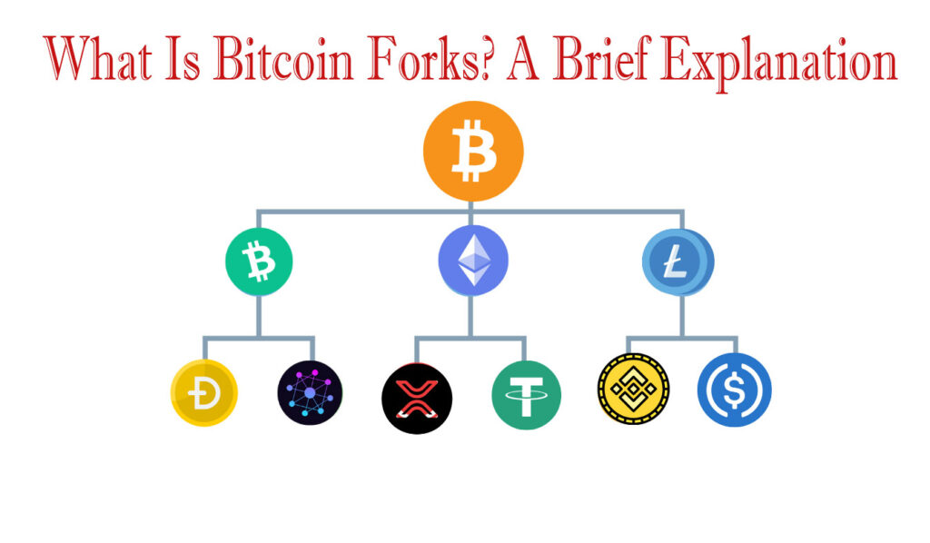How Bitcoin Forks Work? Know About It